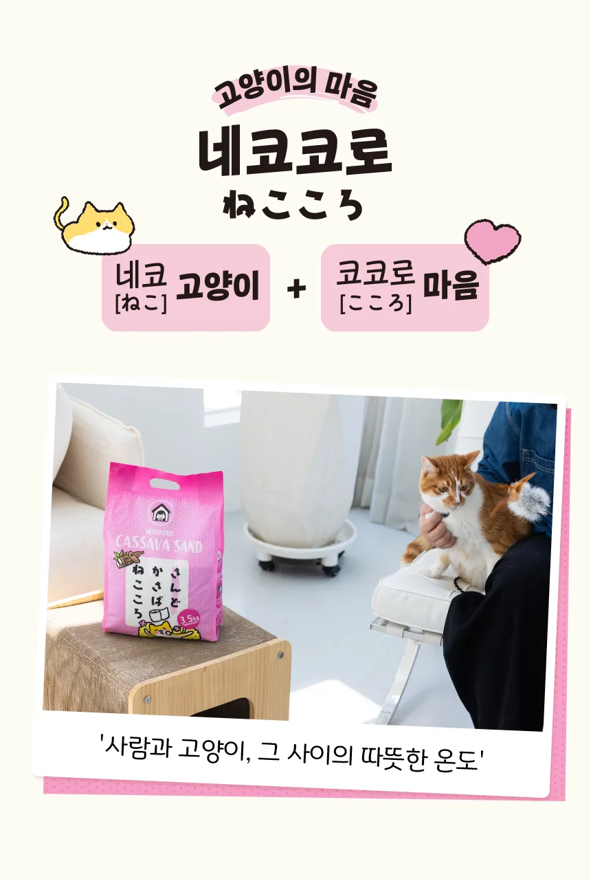 네코코로 × 도시공존 콜라보 카사바 고양이 모래 3.5kg × 3봉 상세 정보 4