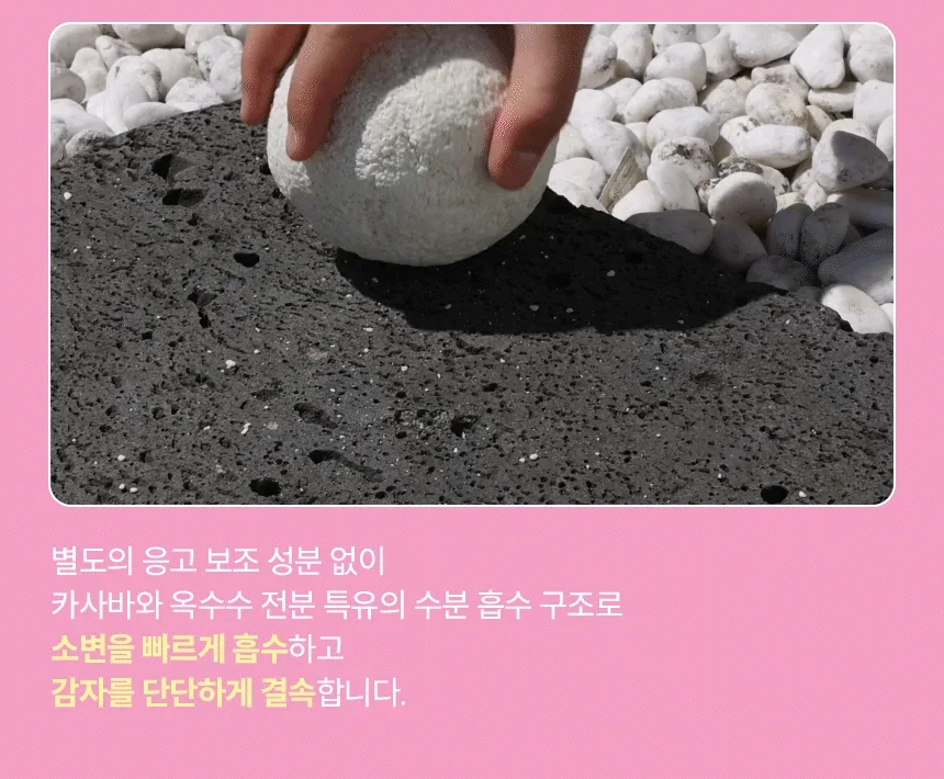 네코코로 × 도시공존 콜라보 카사바 고양이 모래 3.5kg × 3봉 상세 정보 18