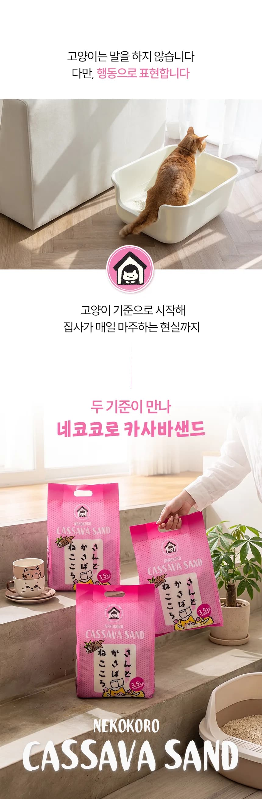 네코코로 × 도시공존 콜라보 카사바 고양이 모래 3.5kg × 3봉 상세 정보 25