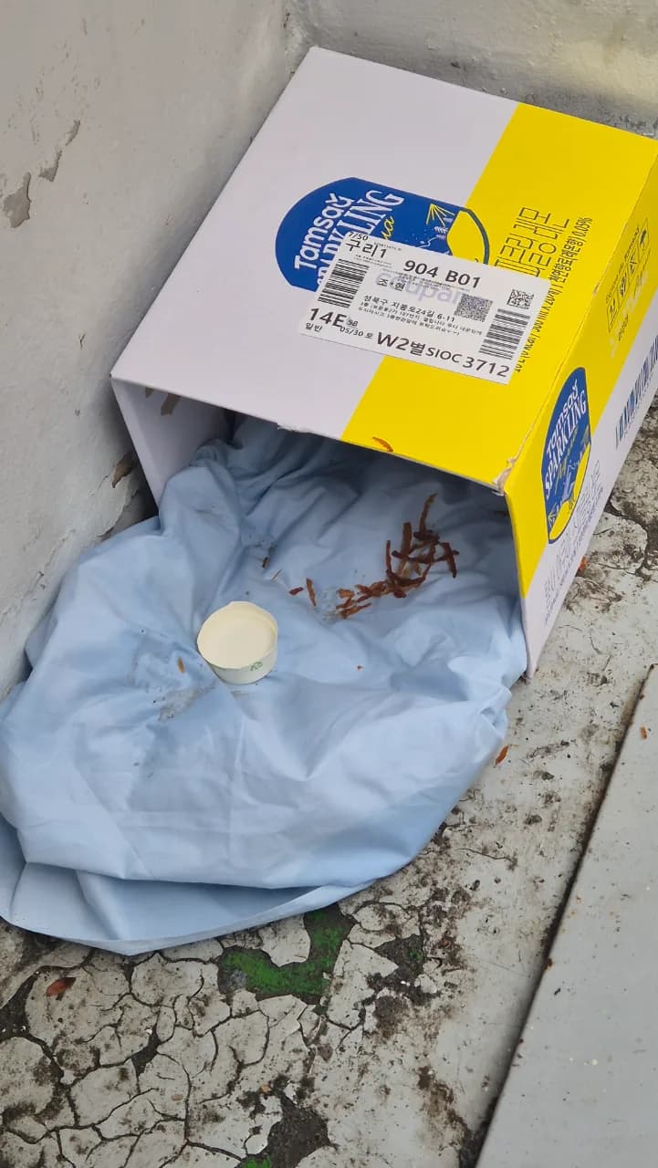아기고양이가 골목 길에 있어요