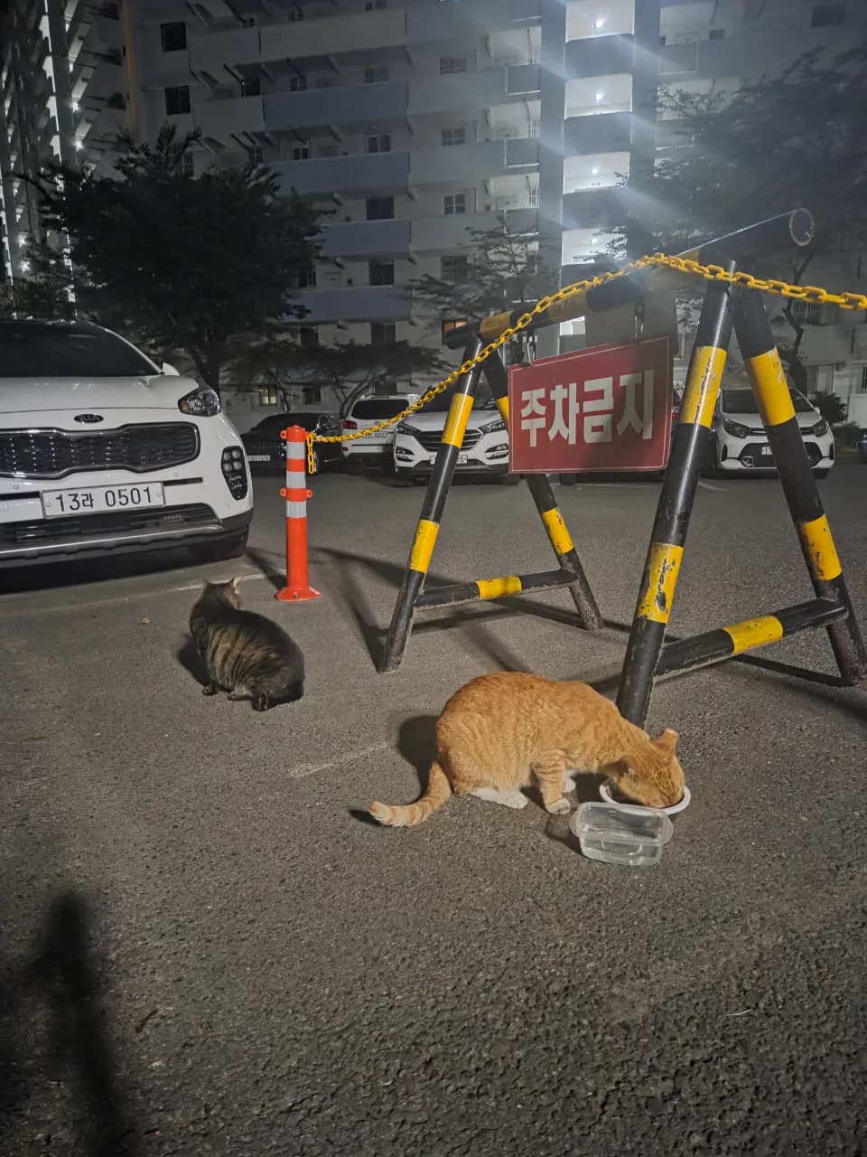 까망이.누룽지