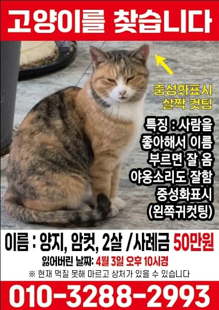 사진 3