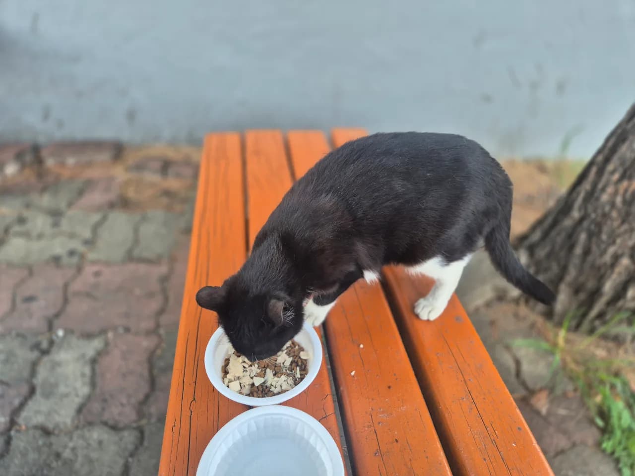 사진 5