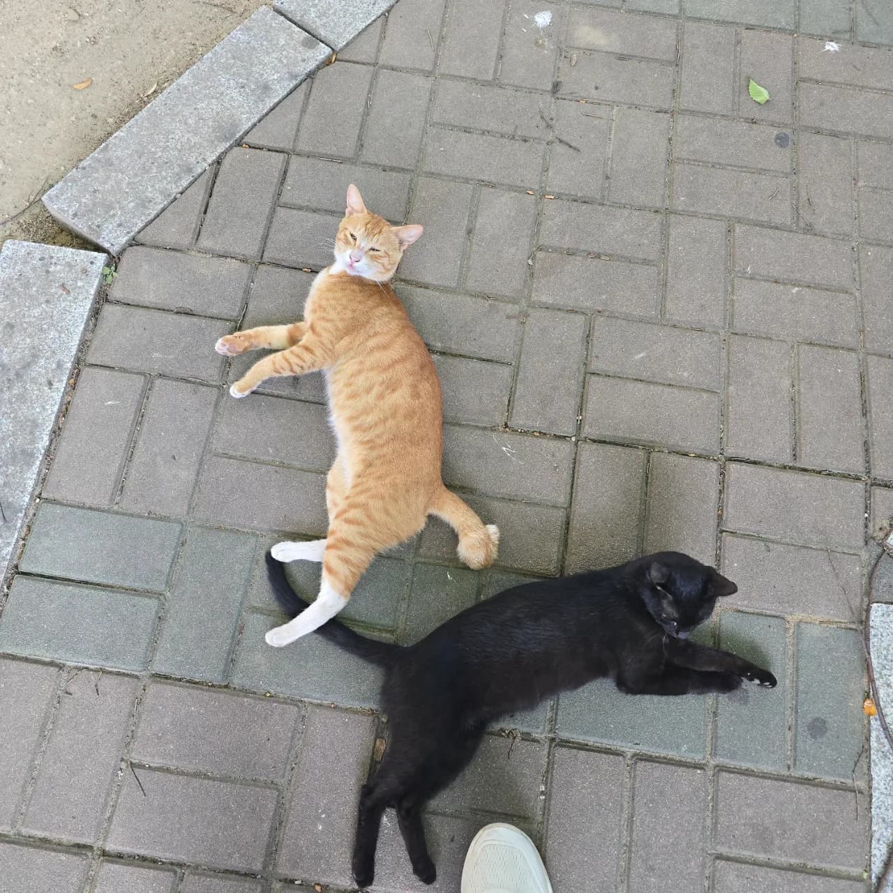 사진 3