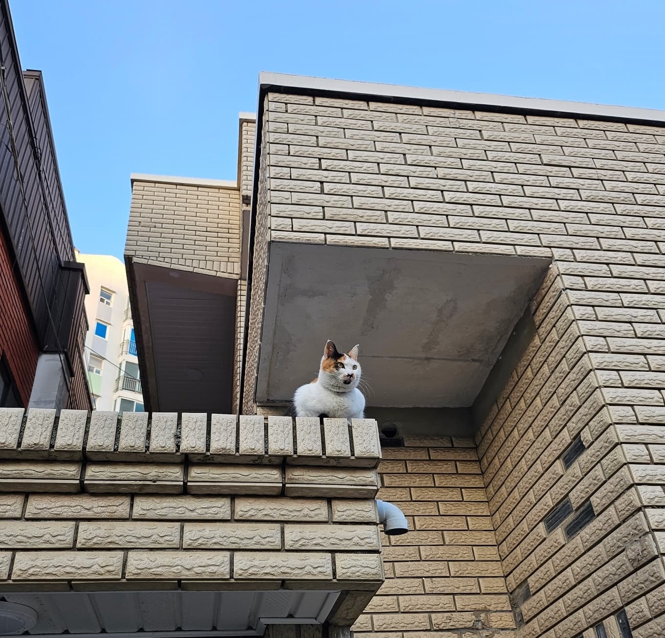 옥상이