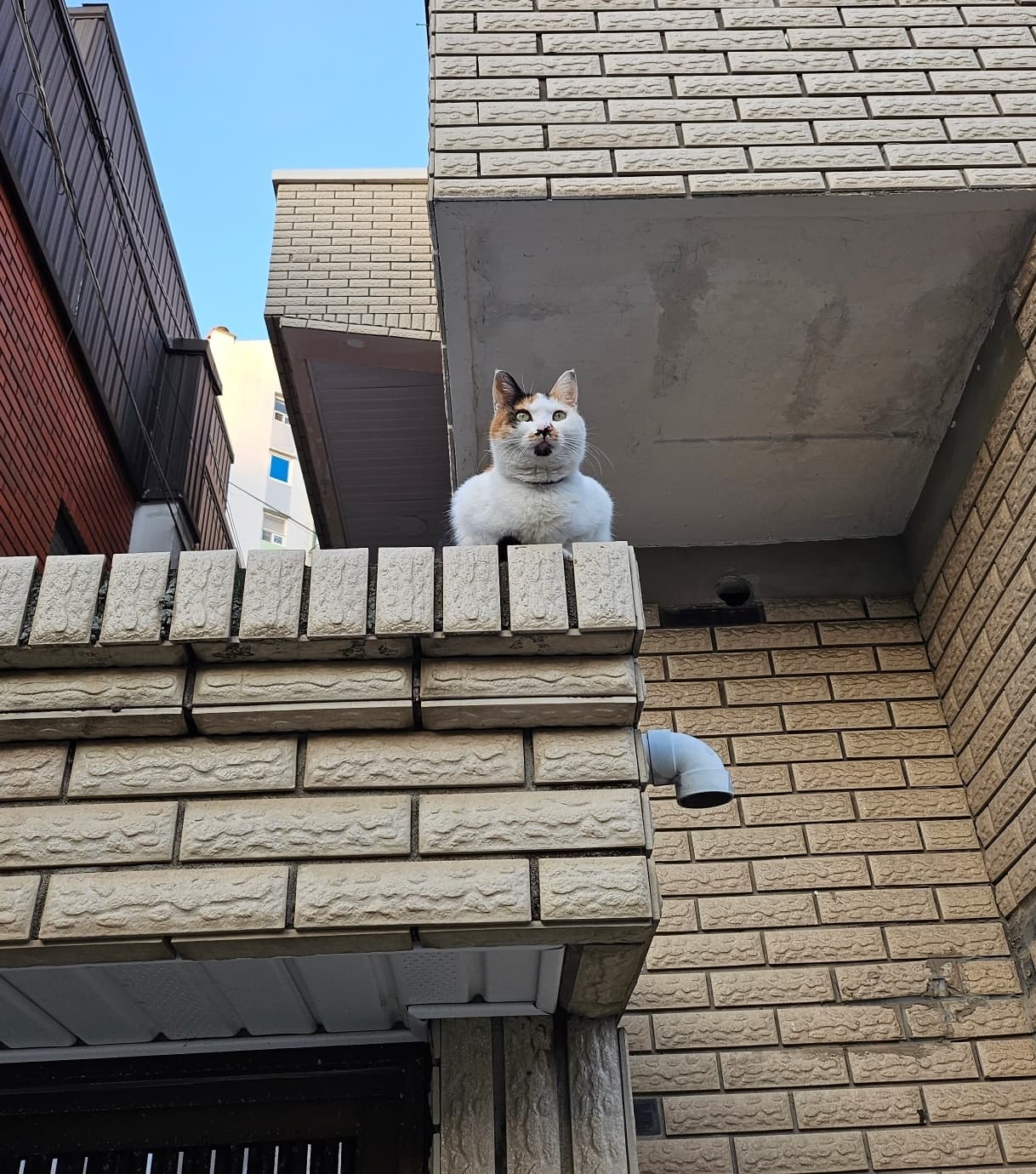 처마