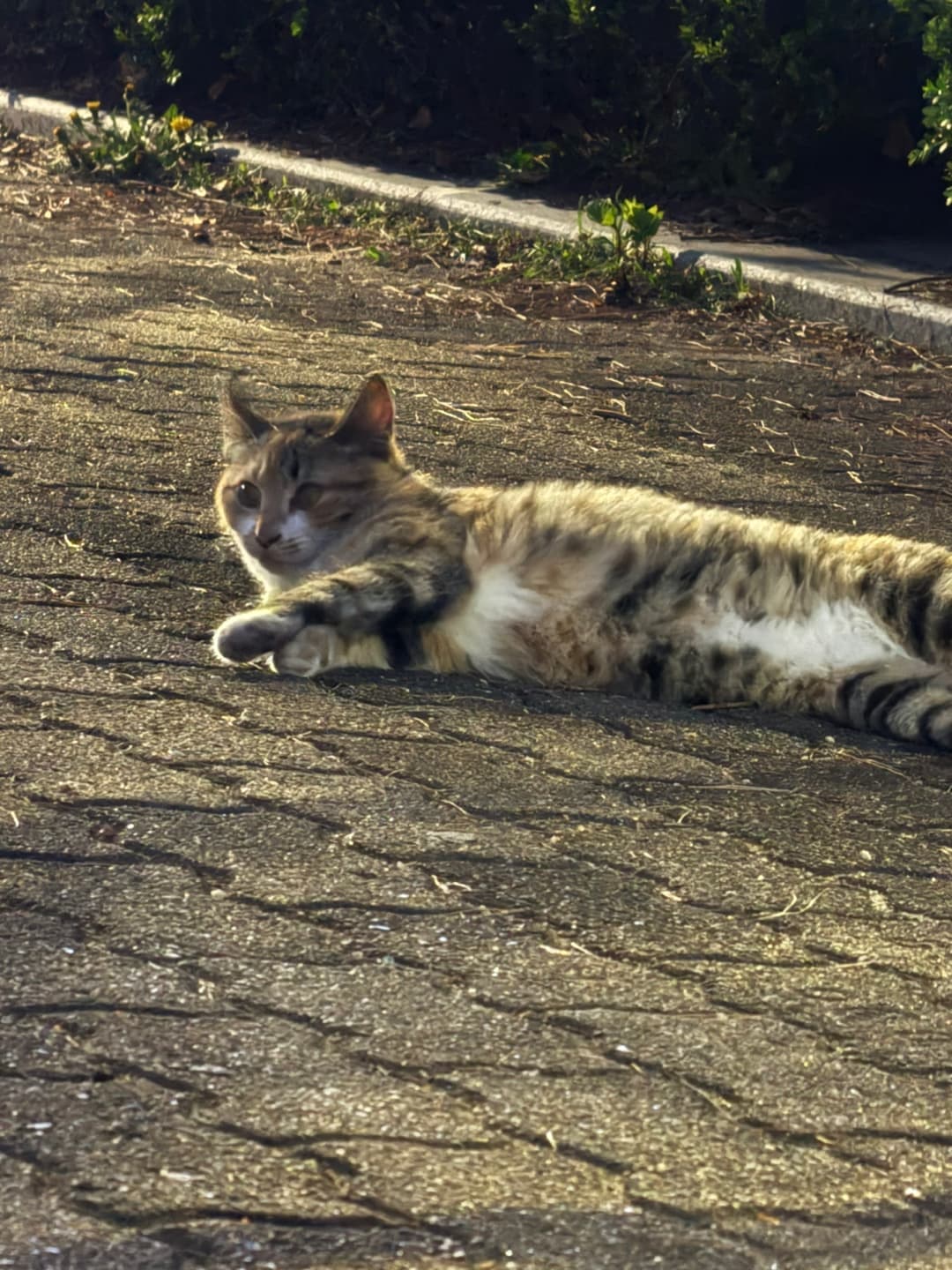 간장이