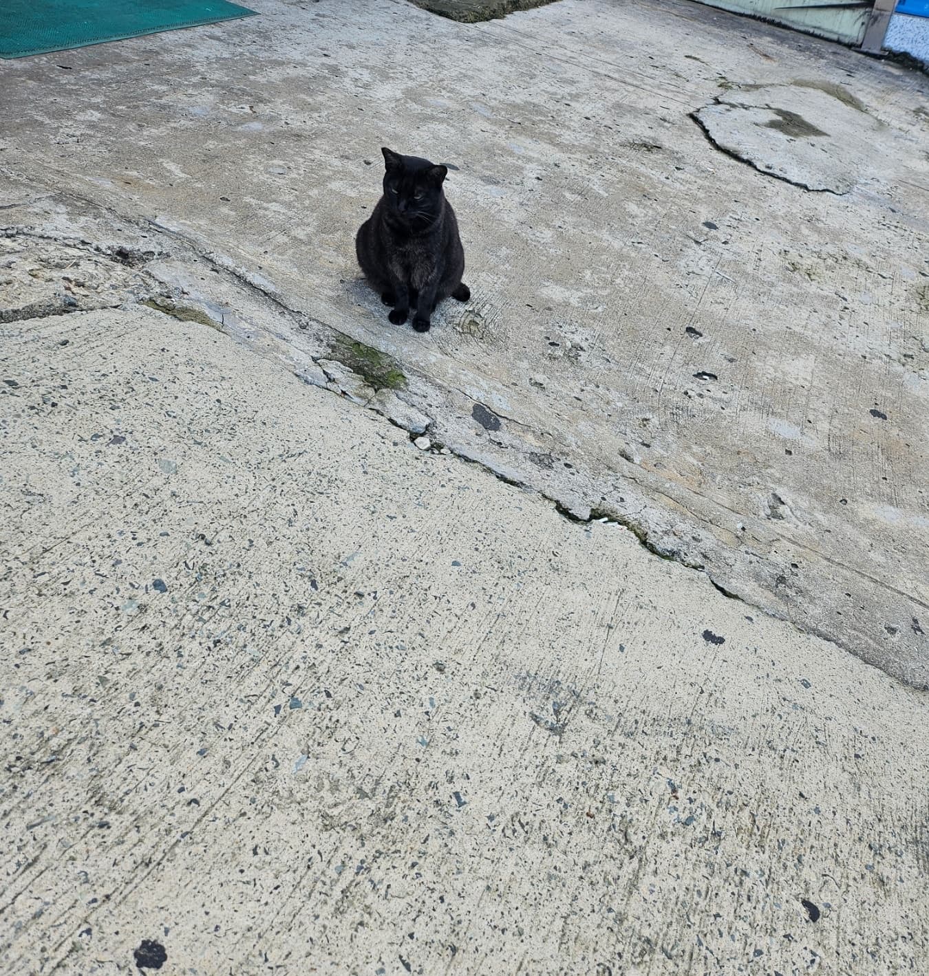 옥상까망