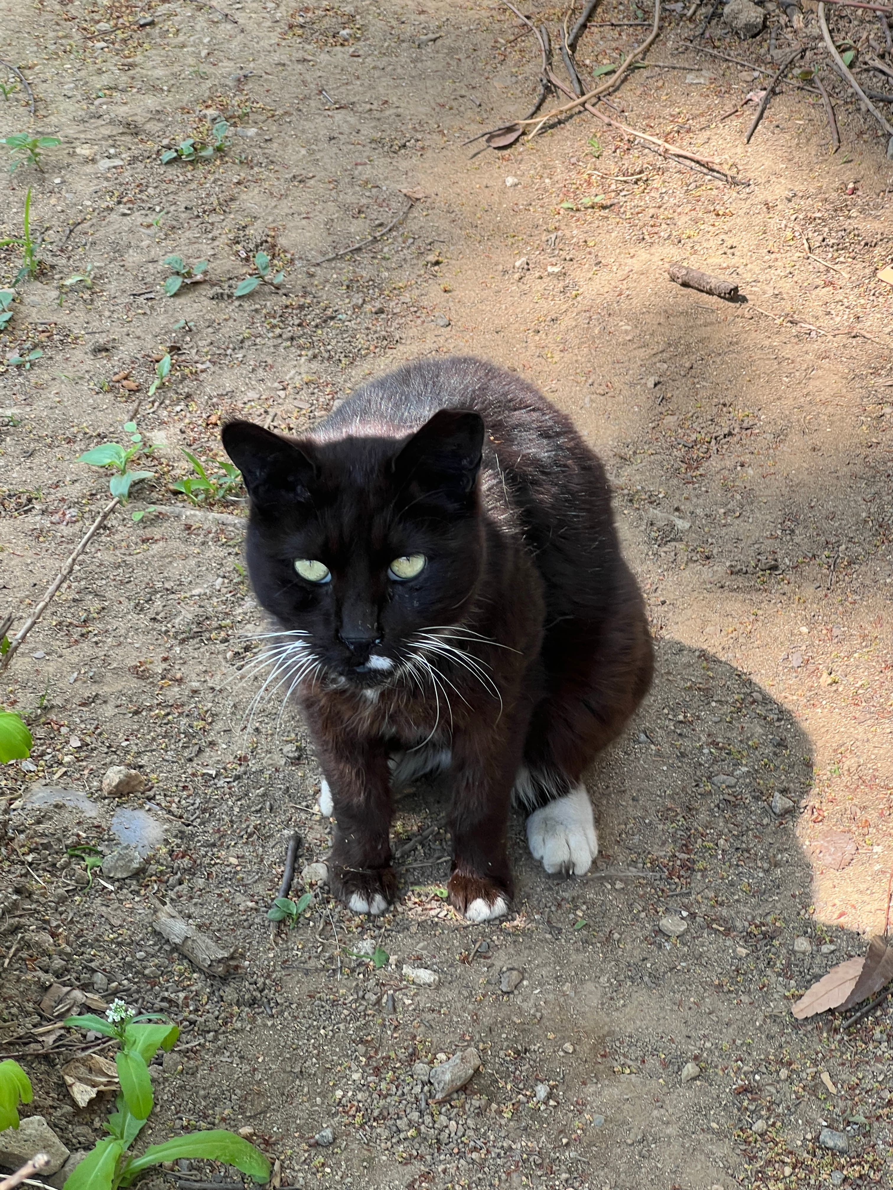 구슬이
