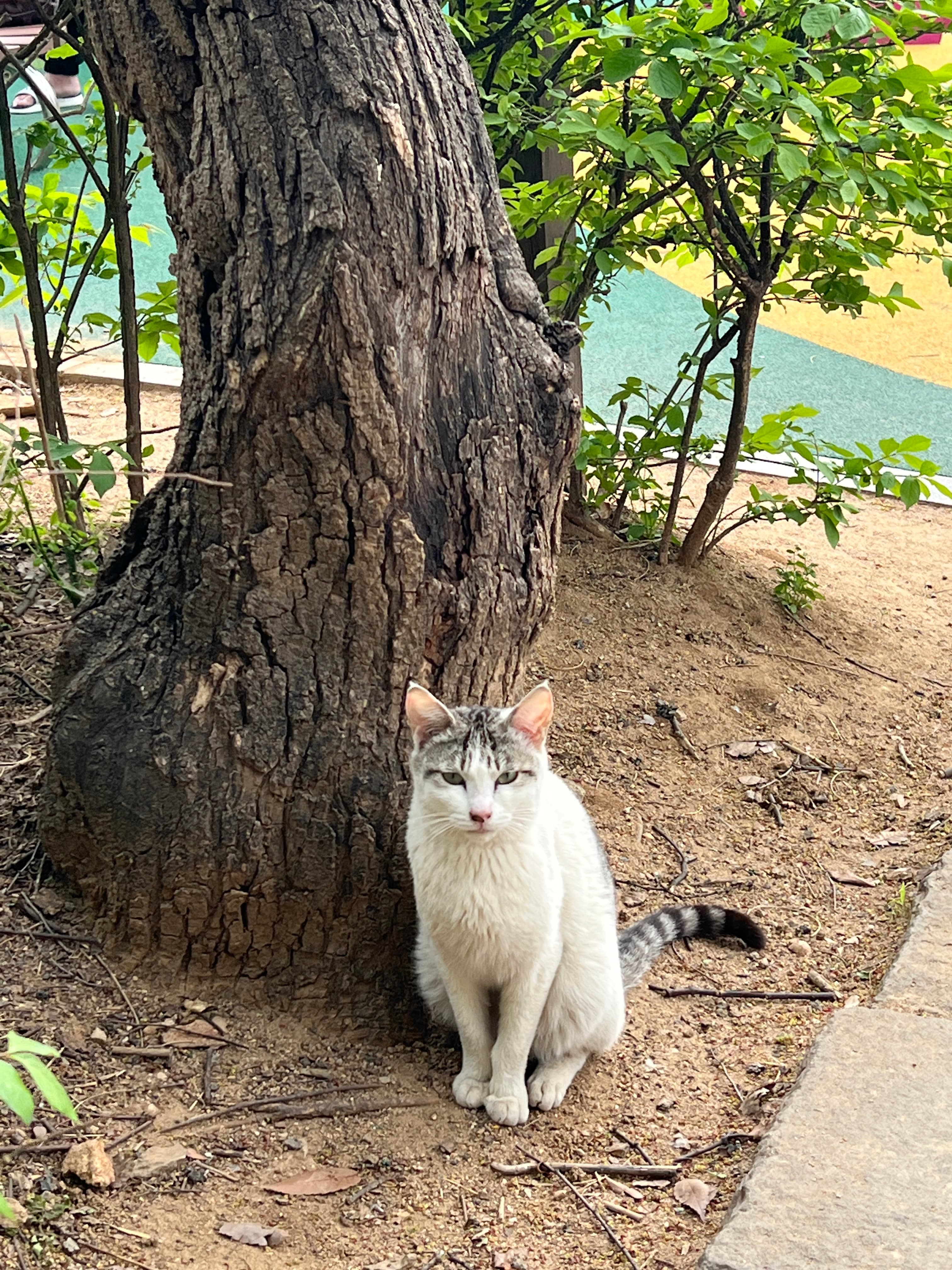 가을이