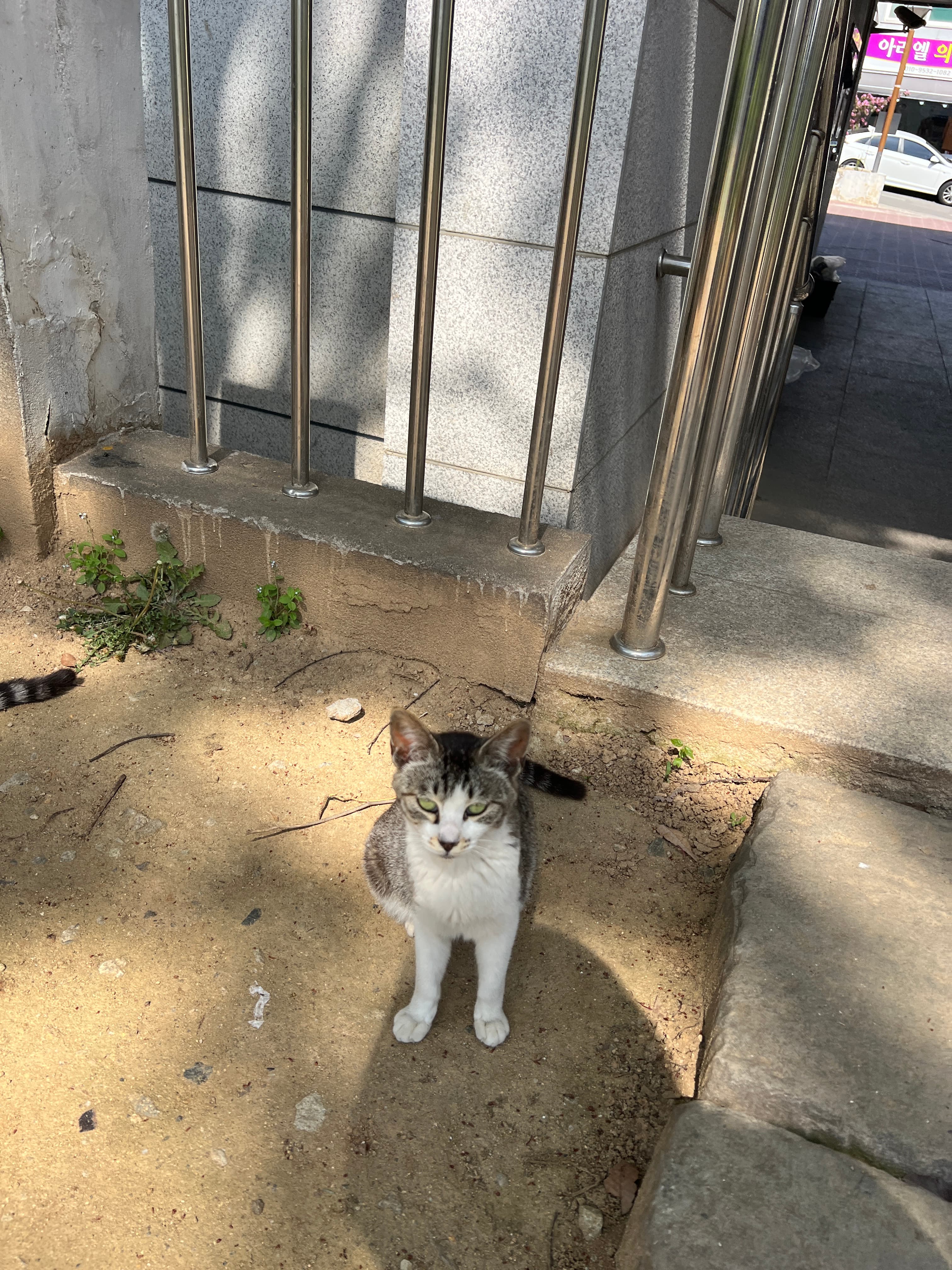 행복이