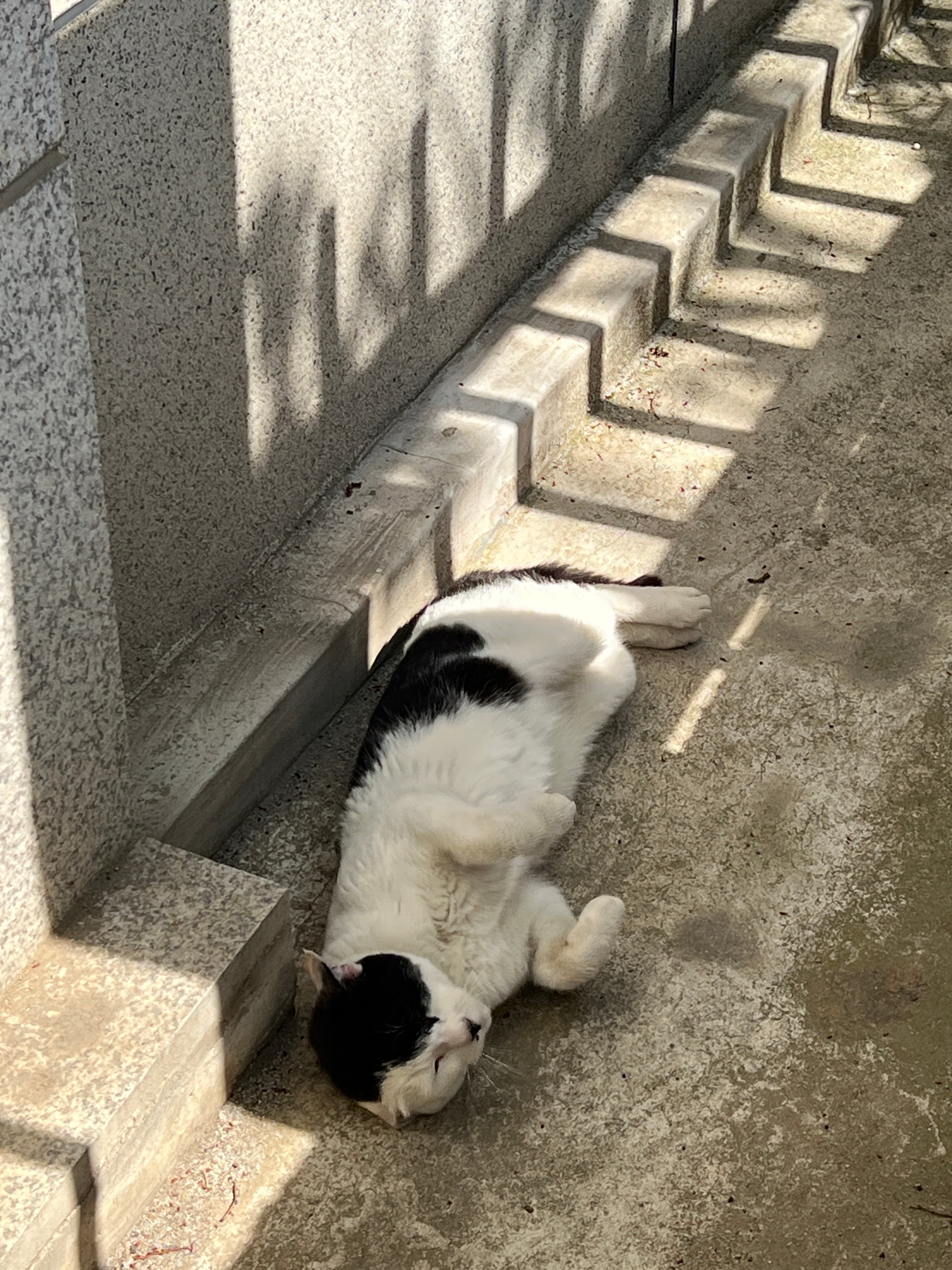 바람이