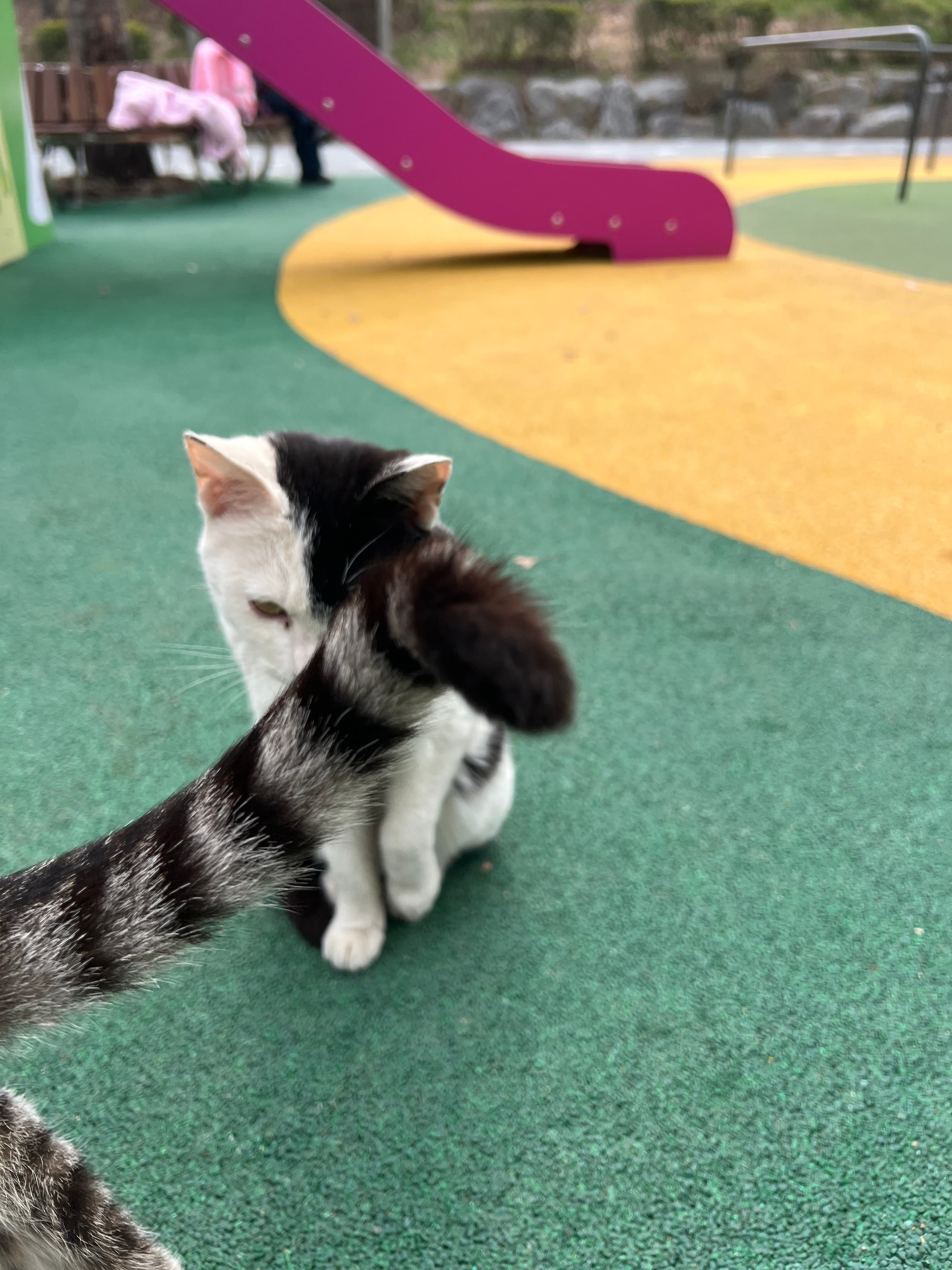루이
