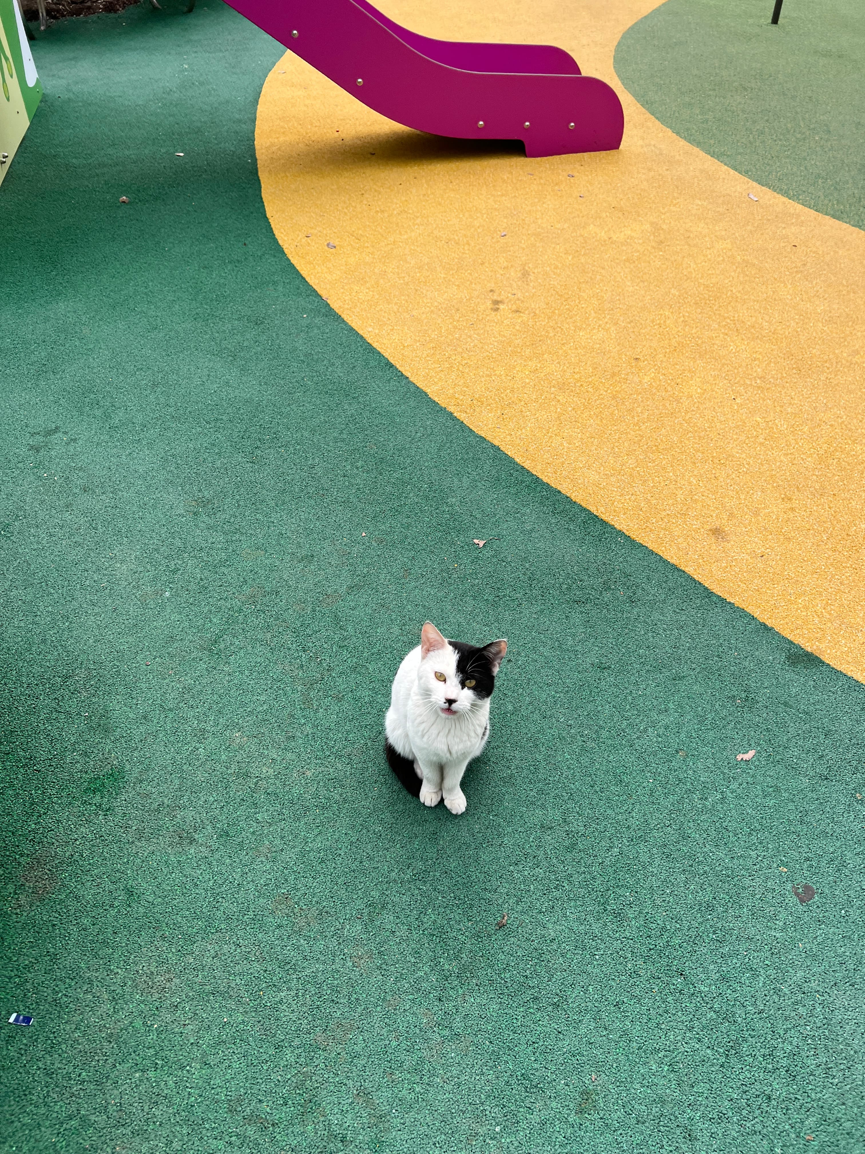 별이